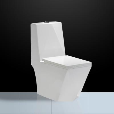 Assoalho nivelado duplo - montou o Wc com armadilha Diamond Shape Washdown de P