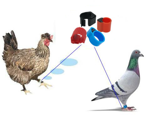 RED ABS Pigeon Foot Racing Ring printable rfid tags 1-20cm long range