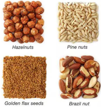 Масло прессы сезама холодное делая извлечением машины 15kw 22kw автоматическое топление