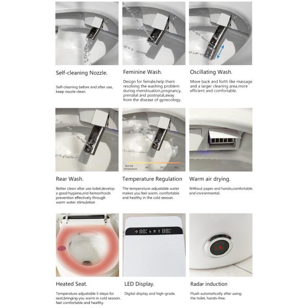 Пол системы туалета гостиницы умный - установил умный туалет автоматическое топя 220V