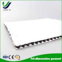 Réseau de drainage composite géotechnique Résistance chimique 2m-6m Largeur Drainage des structures souterraines Pour jardin et route