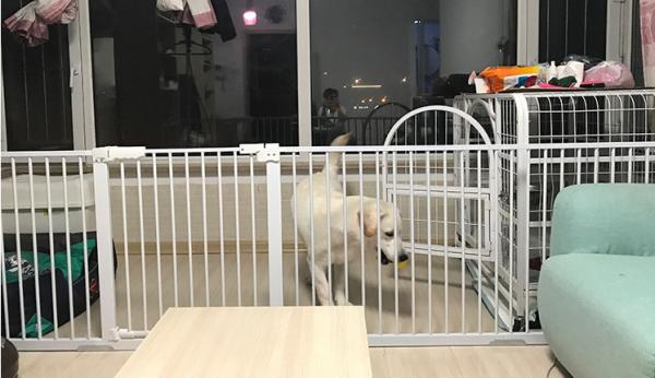 New Children's Fence Baby Room Slam Gate Child Safety Gate Fence Quick and Easy Installation