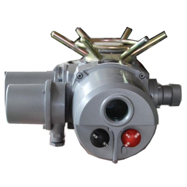 Высокий вращающий момент 3 электрического двигателя IP67 участка, приводы клапана 380V