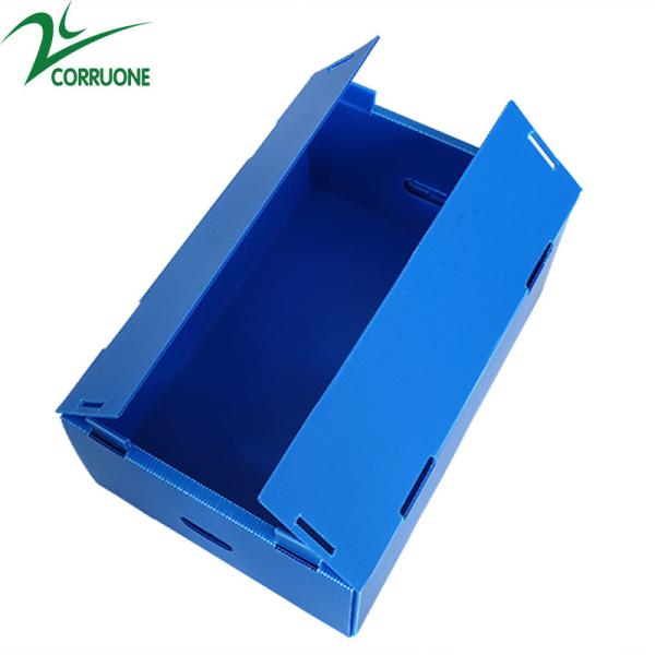 Corruone Hot Sale Customized waterproof foldable PP polypropylene sheet Material Vegetable Fruit Packaging and delivery Boxes