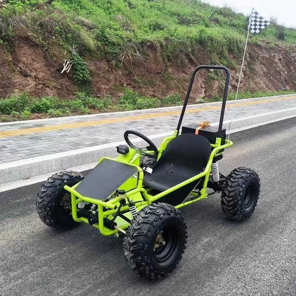 Amusement Park Rental Golf Buggy Cart with 1000W Brushless Motor and EEC Certification