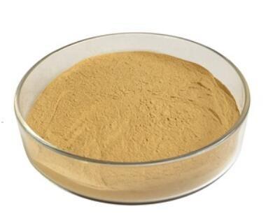 CAS 37248-47-8  Technical Pesticides A 64% TC  Validamycin For Plants