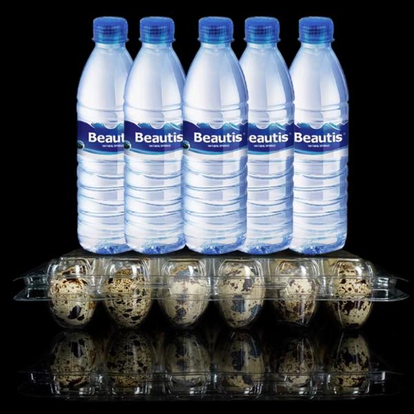 20 Hole Disposable Plastic Egg Packaging PET Transparent Egg Tray Portable