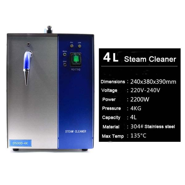 Уборщик пара ювелирных изделий машин 4L 2200W ювелирных изделий 110V/220V очищая