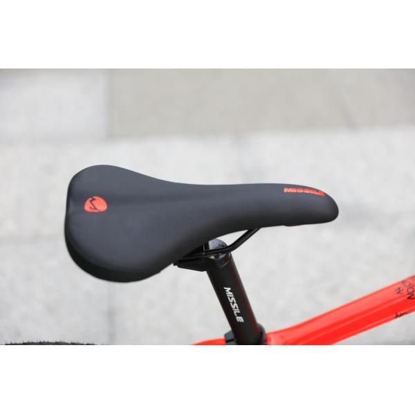 Bicicle pour enfants, fille, 8 et 10 ans, enfant à prix abordable.