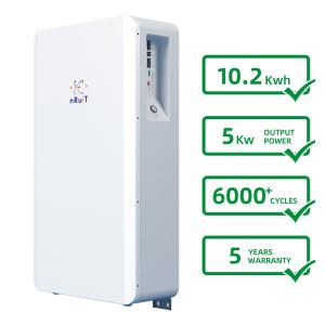 6000 Deep Cycle Solar Battery / 10kwh 51.2 V 200ah Lifepo4 Lithium Battery 5000W