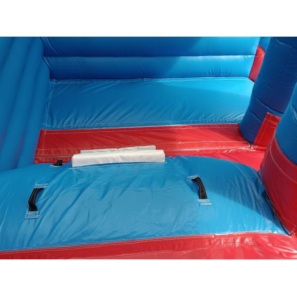 Commercial Outdoor Géant gonflable toboggan à eau Delfine Poulpe dessin animé gonflable double toboggan pour enfants et adultes