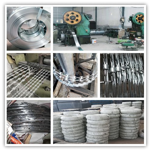 Concertina Razor Wire Hot Dipped Galvanized Cross Barbed Wire Top sales