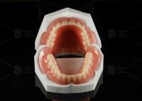 Alta estética Dentadura removible de acrílico completo Dentadura completa de acrílico