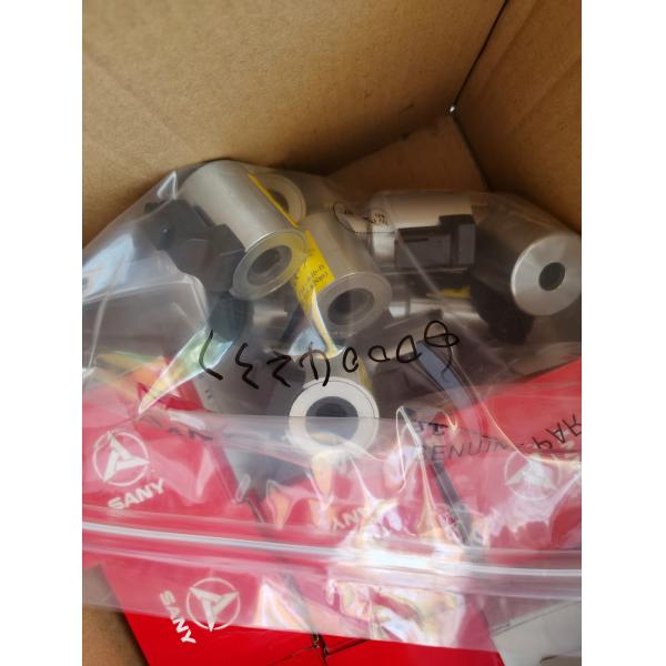 60004237 Coil SV3-10 24DC for SANY Mobile Crane