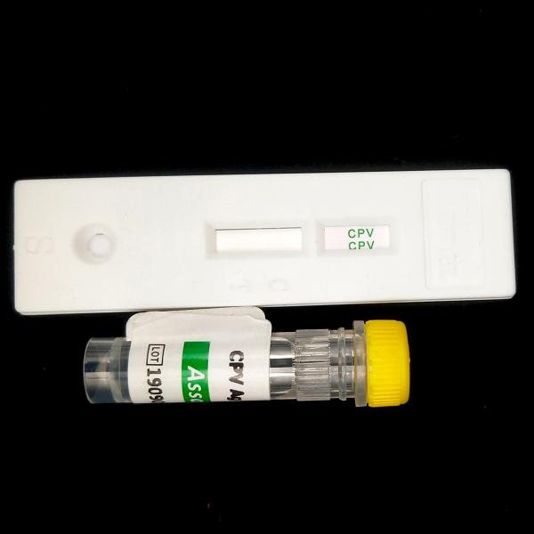 Cassette Canine Parvovirus Veterinary Rapid Test Kits 10 Minutes Test Time