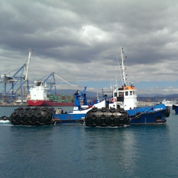 Accouplement de l'amortisseur pneumatique de butoir de Yokohama pour l'amarrage