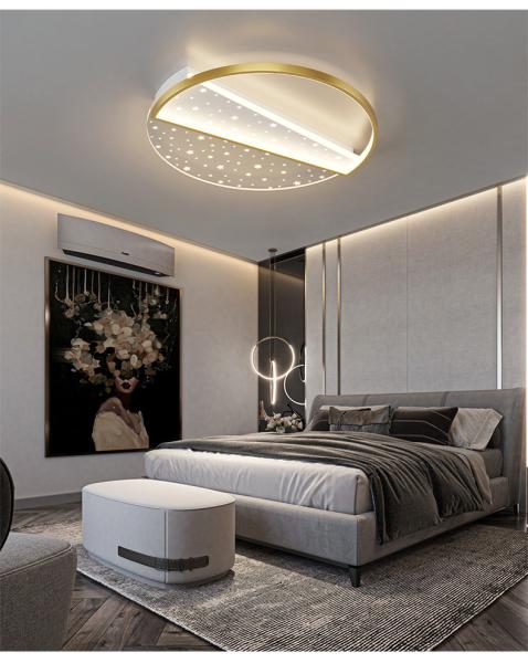Modern Minimalist Ceiling Lamps Living Room Designer Hall Nordic Luxury Starry Ceiling Lamps(WH-MA-282)