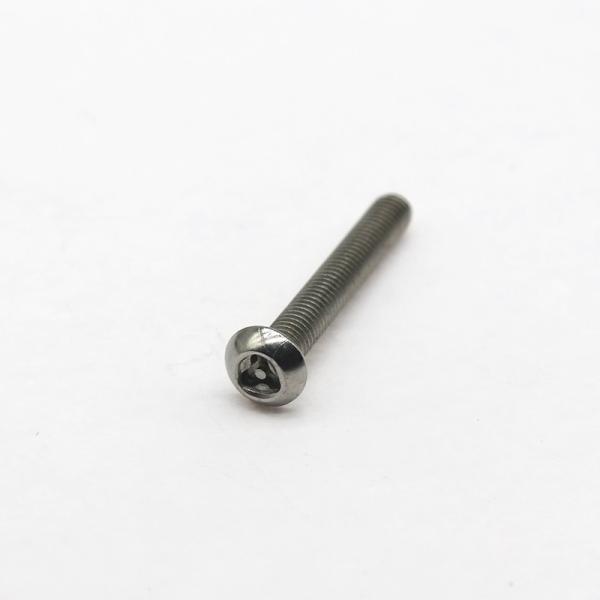 Industrial Custom Anti Theft Screw Stainless Steel Safety Fasteners