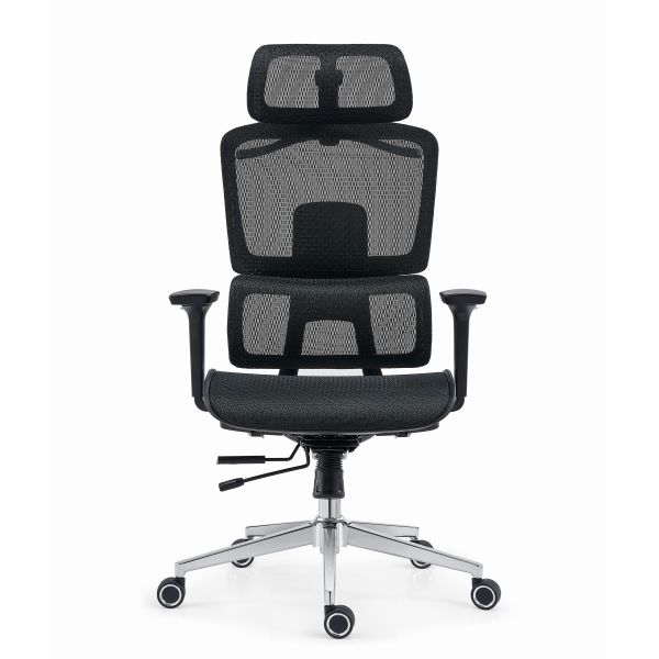 Executive Mesh Fabric Ergonomic Office Chair Swivel with 3D Armrest