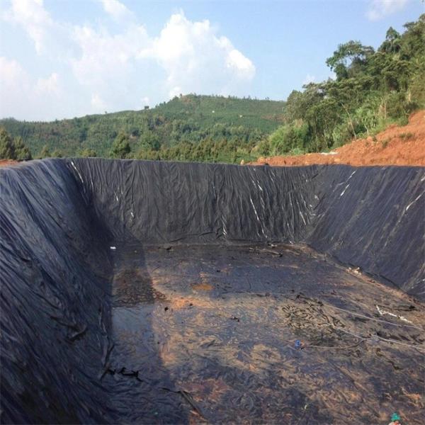 Geomembrana HDPE Tanque de Peixe Total Solução para Projetos em Preto Branco Verde Azul