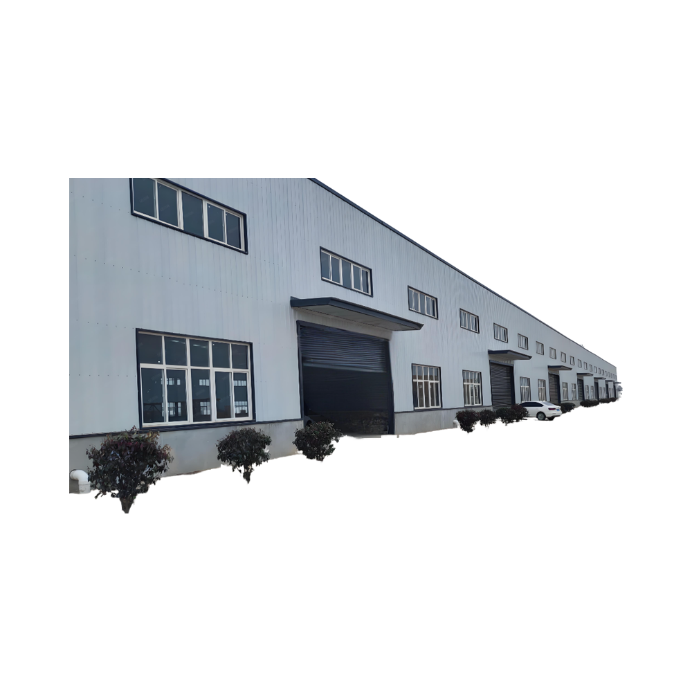 Modern Design Steel Structure Workshop Building