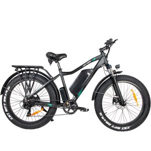 Fat Tire Electric Mountain Bike