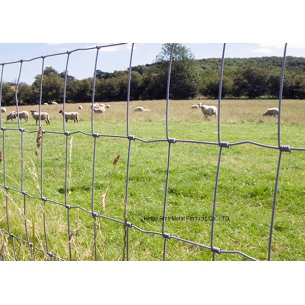 1.2 M Height galvanised Grassland Cattle Wire Fence 50m and 100m Length