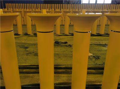 ODM Double Row Self Aligning Conveyor Roller SS304 Vacuum Sealed