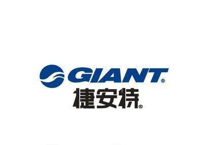 Покрытие автомобиля пальто фильма ровное е, не опасное электростатическое покрытие для велосипеда