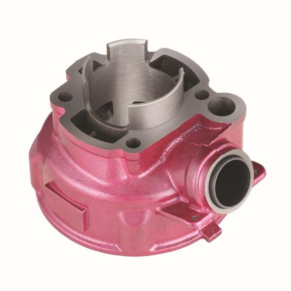 Minarelli AM6 Custom 70cc 80cc 90cc 100cc 40mm 44mm 47mm 49mm Cylinder Kit Suppliers