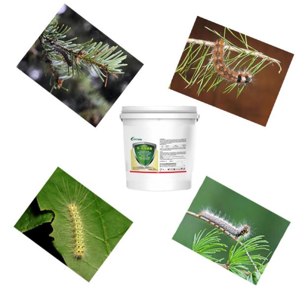 ODM ECO Friendly Biological Pesticide for Caterpillars