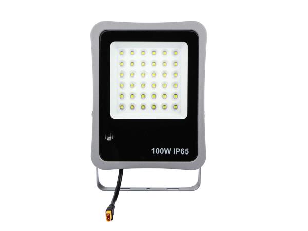 Waterproof Solar 100W LED Flood Light With Solar Panel Durable Multipurpose