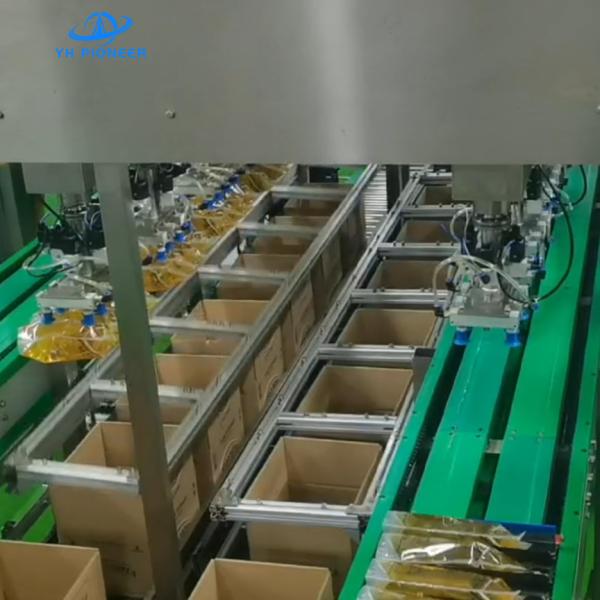 Soft Bags Pouches Carton Packer Machine with Customizable Carton Size