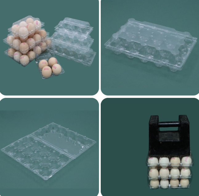 Clear 30 Cell Disposable Plastic Egg Container With Lid For Shockproof Egg Storage Transport
