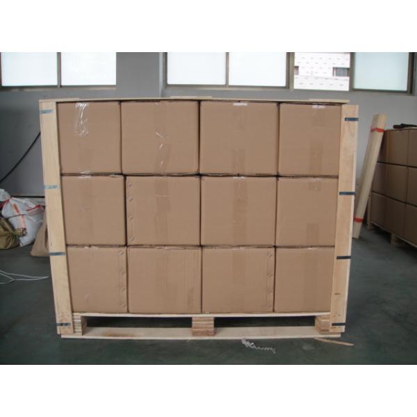 Scaffold Safety Tag / Scaffolding Safety Products / Tag For Industrial Safety