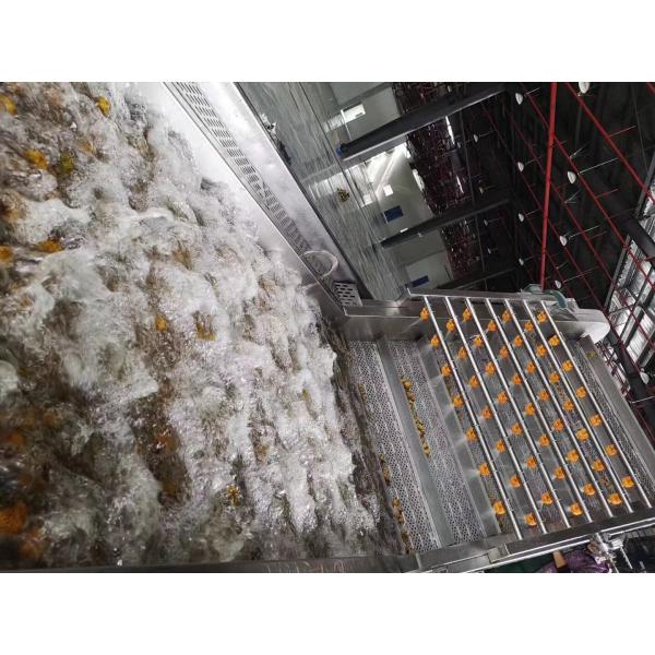 Uva Juice Processing Line del control 220V 3T/Day del PLC