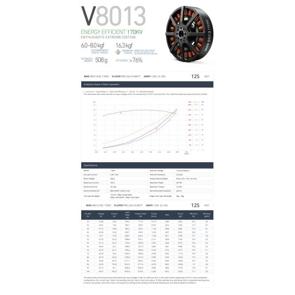 V8013 EEE V1.0 Бесбрюшевый постоянный двигатель