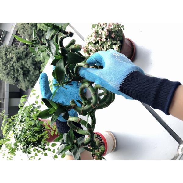 Rubber Grip Anti Abrasion Protective Flowerpot Handling And Pruning Trees Gloves