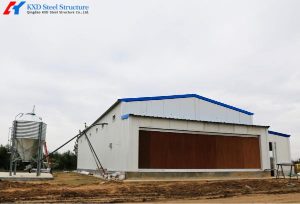 Steel Structure Broiler Chicken House with Automated Feeding System