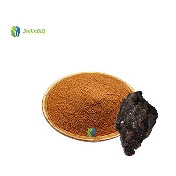 Food Grade Supplements Shilajit Extract 50% Fulvic Acid Powder