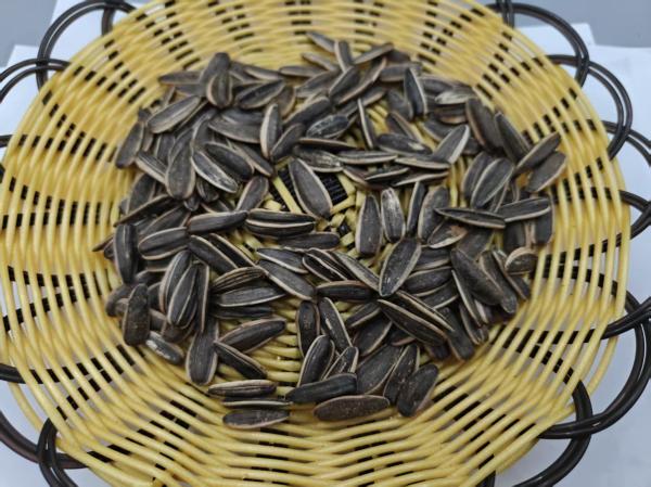 Original Flavor Salt Vinegar Sunflower Seeds