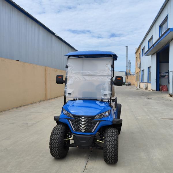 Blue Two-Seater Off-Road Mini Electric Golf Cart With Front Suspension Disc Brake