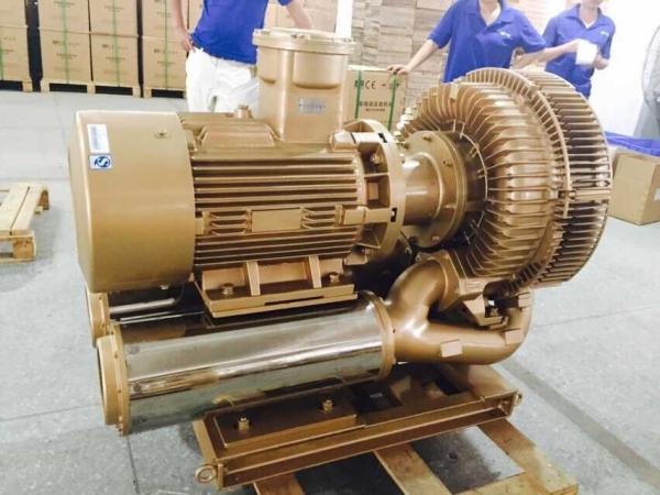 30kw High Pressure Regenerative Air Blower For Biogas Conveying Anti Explosion