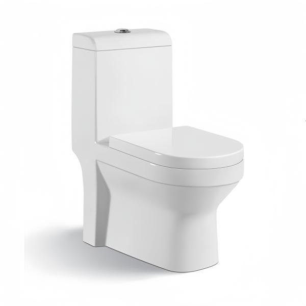 Traditional Back to Wall Ceramic Toilet Sets and Basins with Slowly Toilet Seat Cover