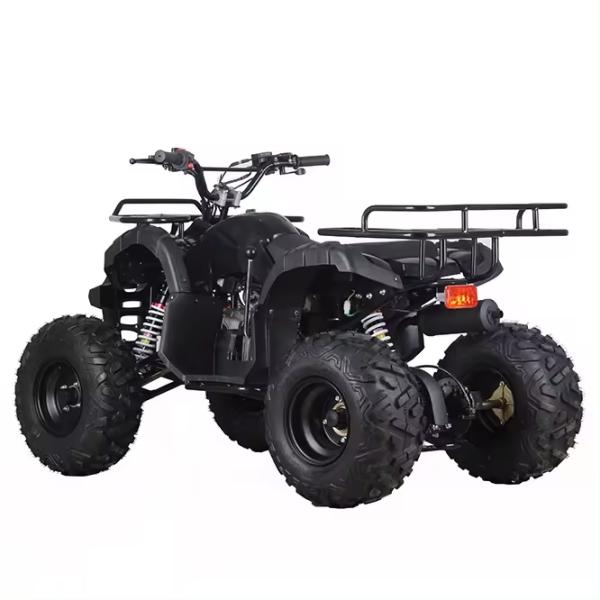 110cc Gas ATV for Kids Electric Start 4 Strokes Automatic Off Road 4 Wheel Quad Bike