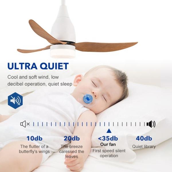 Ventilateur de plafond LED décoratif, ventilateur de plafond en courant continu avec lumière et télécommande