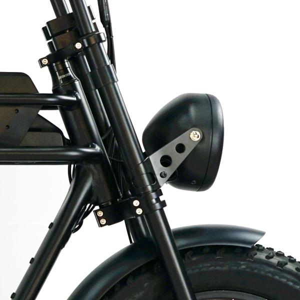 73 eBike Fat Tire Electric Bike E Bicycle with Range per Power 31 60 km and Disc Brake