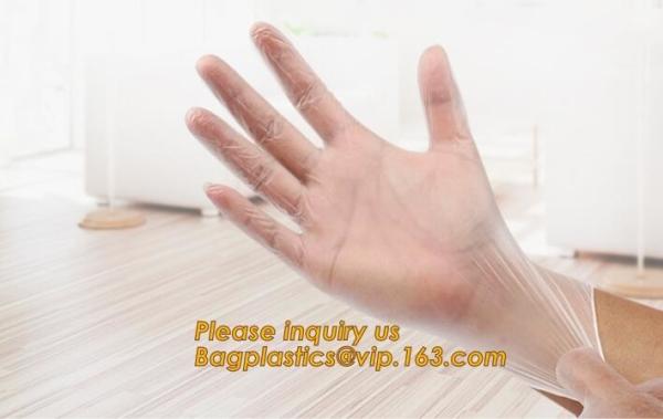 Powder Free Disposable Vinyl PVC Gloves 5.5 grams 9 inches and 12 inches,Health Cleanroom 12 Disposable/Single Use Powd