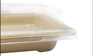 Biodegradable Microwavable Sushi Tray  Sushi Paper