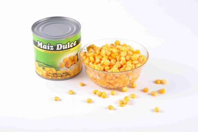 O OEM presta serviços de manutenção à especificação feita sob encomenda enlatada do milho doce do núcleo com o LOGOTIPO do tipo